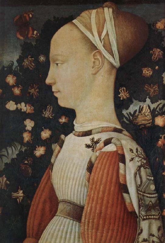 Antonio Pisanello A portrait of a young princess oil painting picture